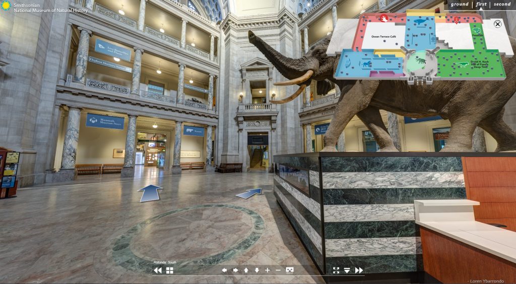 Digital Offering At The Smithsonian National Museum Of Natural History Of Washington Digital